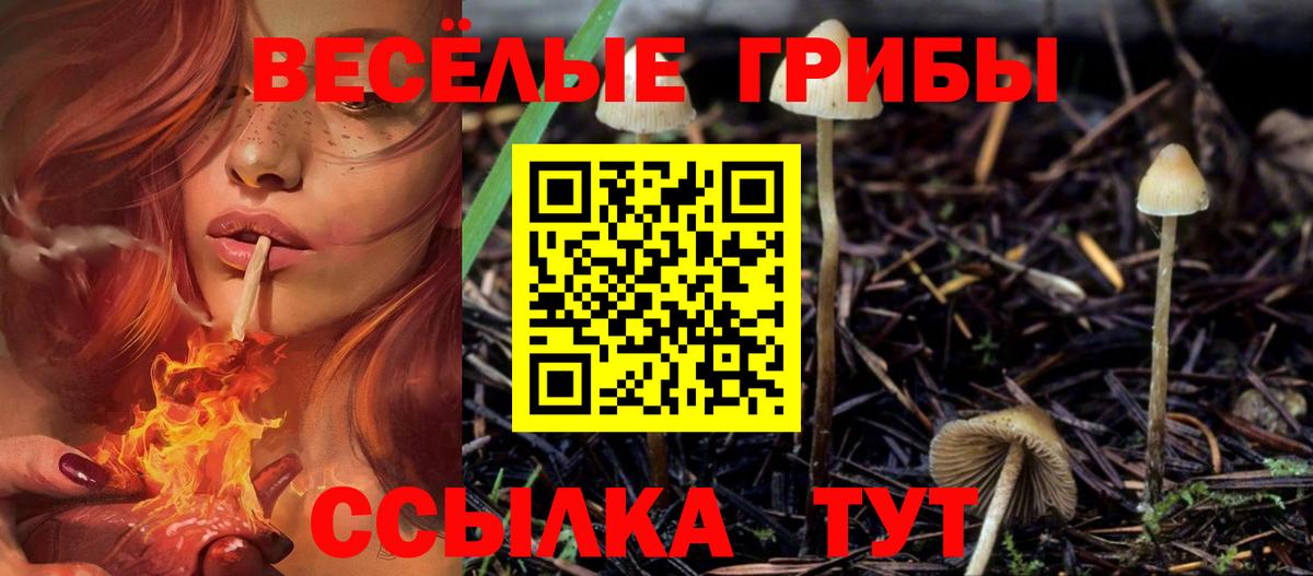 Псилоцибиновые грибы мицелий Фурманов